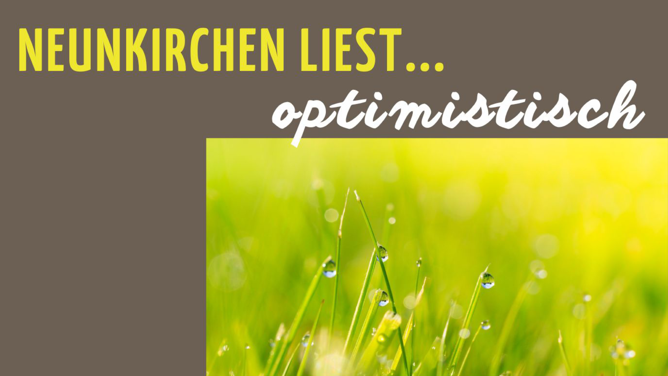 Neunkirchen liest ... optimistisch (c) momentum Neunkirchen liest ... optimistisch