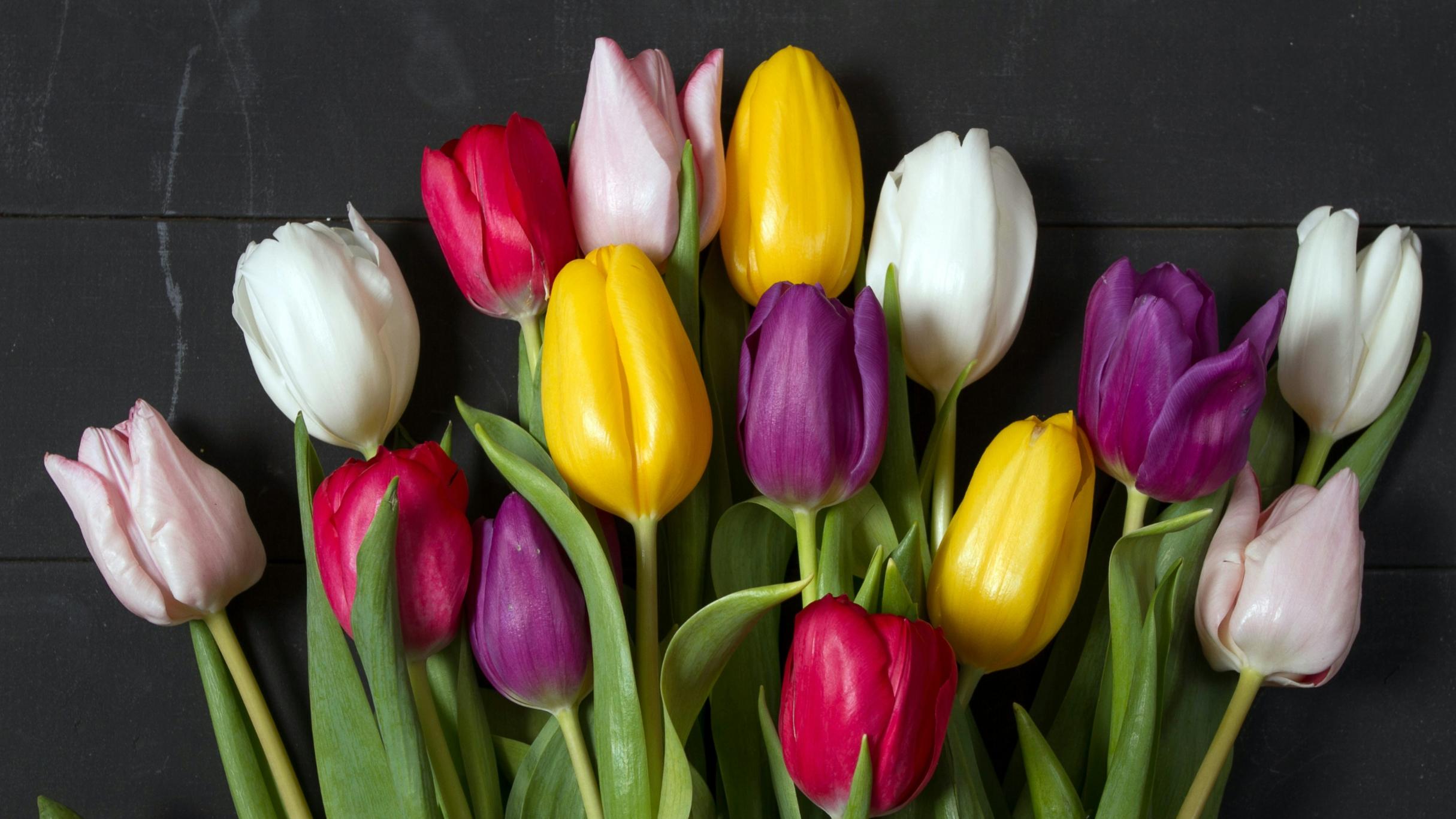 Lesung zum Weltfrauentag am 07.03.2026 im momentum