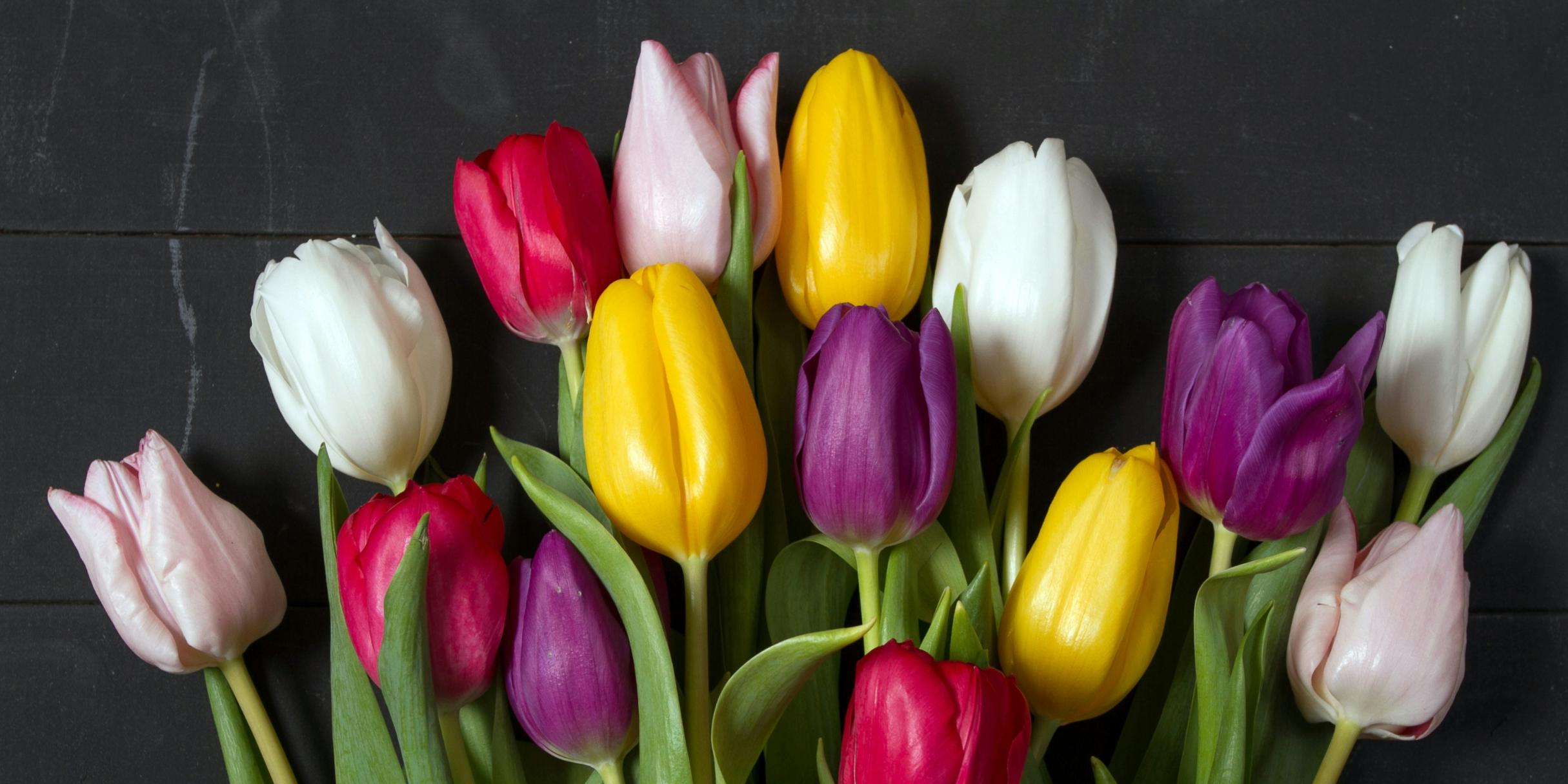 Lesung zum Weltfrauentag am 07.03.2026 im momentum