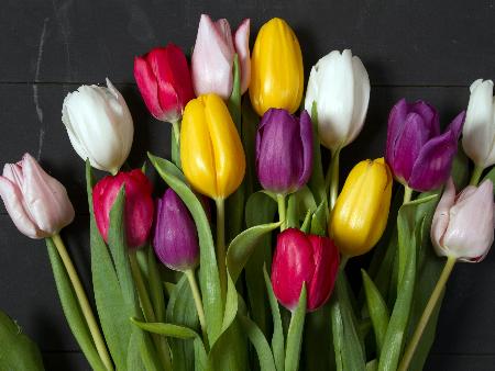 Lesung zum Weltfrauentag am 07.03.2026 im momentum